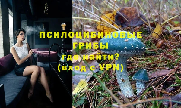 спайс Алзамай