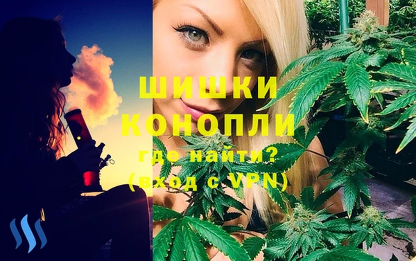 спайс Алзамай